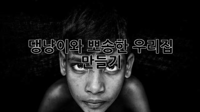 🐾 댕냥이와 뽀송한 우리집 만들기 ✨