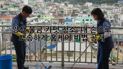 양산 물금 카펫 청소 ✨ 내 손으로 뽀송하게! 홈케어 비법 공개 🧺